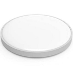 Xiaomi Mi Smart LED Ceiling Light D20