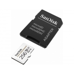 SanDisk High Endurance microSDXC 256GB